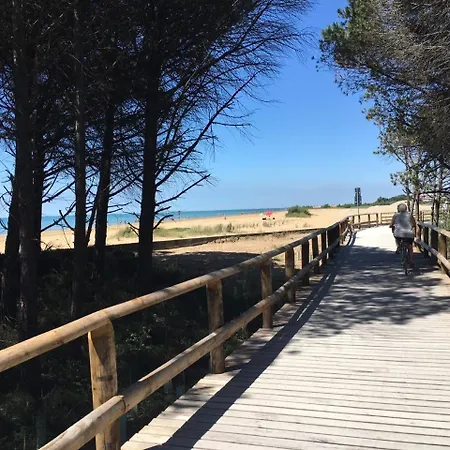 Sirio Via Pesci 6,8,14 ביביונה